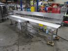 Cpi Ss Packoff Conveyor